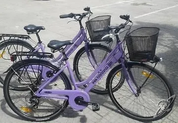 Olanda מלון 3*